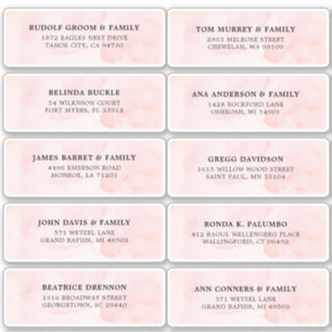 Blush Roze Ivoor waterverf Bruiloft Gast Adres Sticker