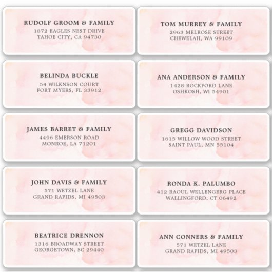 Blush Roze Ivoor waterverf Bruiloft Gast Adres Sticker (Voorkant)