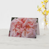 Blush Roze Kool Roos Rozen Pastel Bloem Kaart (Gele Bloem)