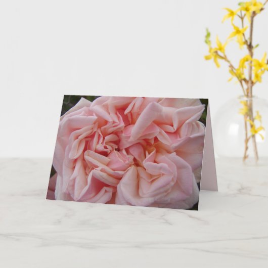 Blush Roze Kool Roos Rozen Pastel Bloem Kaart (Gele Bloem)