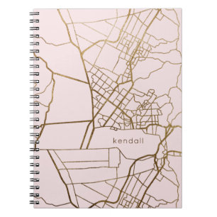 Blush roze met Gold look Map en Naam Notitieboek