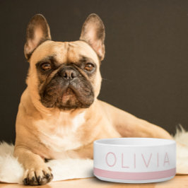 Blush roze minimale kleurrijke persoonlijke voorna voerbakje