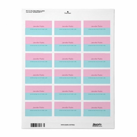 Blush Roze Mint Blue Elegant Trendy Address Etiket (Full Sheet)