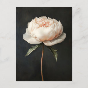 Blush roze pioen botanische schilderij briefkaart