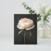 Blush roze pioen botanische schilderij briefkaart (Staand voorkant)