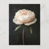 Blush roze pioen botanische schilderij briefkaart (Voorkant)