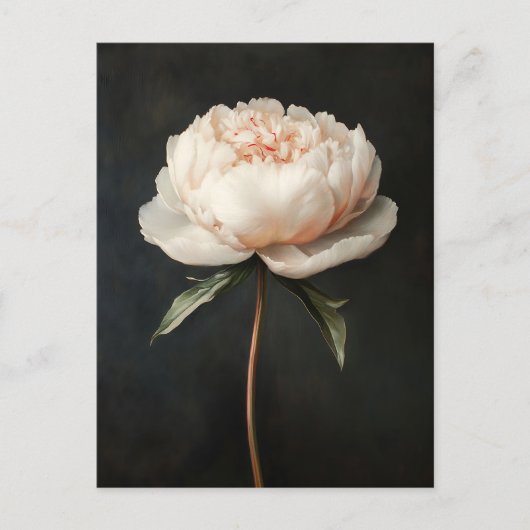 Blush roze pioen botanische schilderij briefkaart (Voorkant)