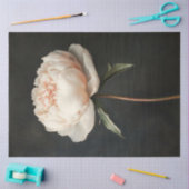 Blush roze pioen botanische schilderij decoupage tissuepapier (Craft)