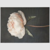 Blush roze pioen botanische schilderij decoupage tissuepapier (Voorkant)