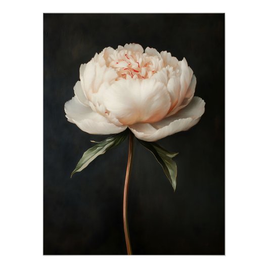 Blush roze pioen botanische schilderij perfect poster (Voorkant)