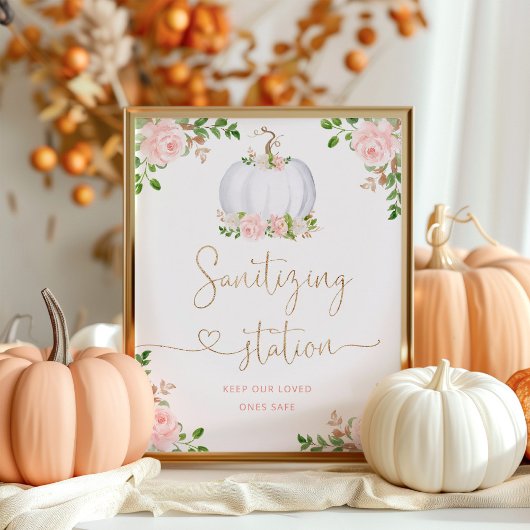 Blush roze pompoen met goudflesjes Reinigingsstati Poster
