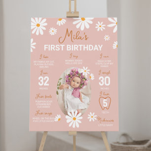 Blush Roze Retro Daisy 1e Verjaardag Mijlpaal Teke Poster