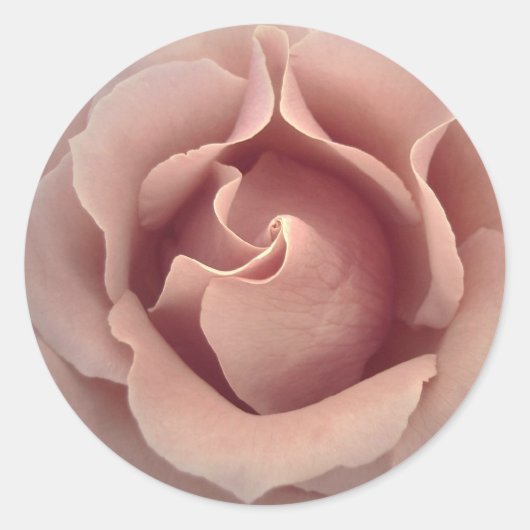 BLUSH ROZE ROOS - Bruiloft Envelope Seal Ronde Sticker (Voorkant)