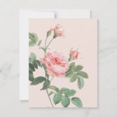 Blush roze  Roos Note Kaart Notitiekaartje (Achterkant)
