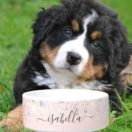 Blush roze roze goud zilverglitter stofnaam voerbakje