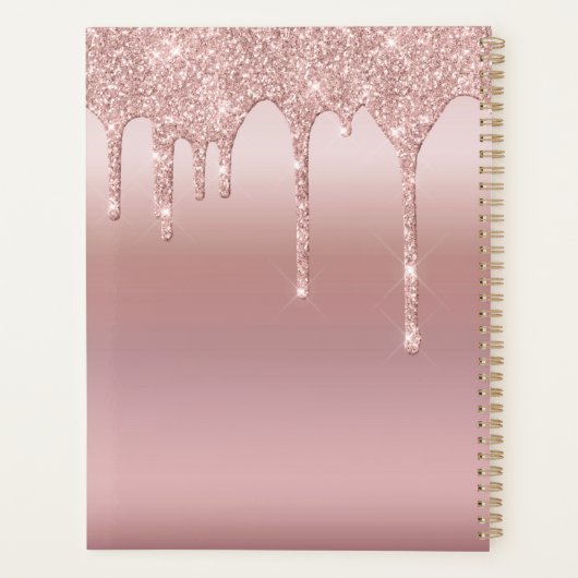Blush roze roze gouddruppels monogram 2022 P Planner (Achterkant)