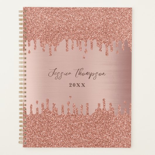 Blush roze roze gouden glitterschijven planner (Voorkant)
