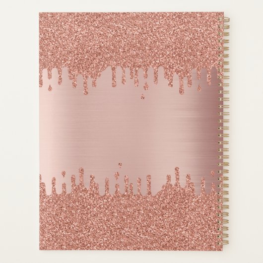 Blush roze roze gouden glitterschijven planner (Achterkant)