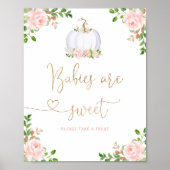 Blush roze roze pompoen. Babybaby's zijn zoet Poster (Voorkant)