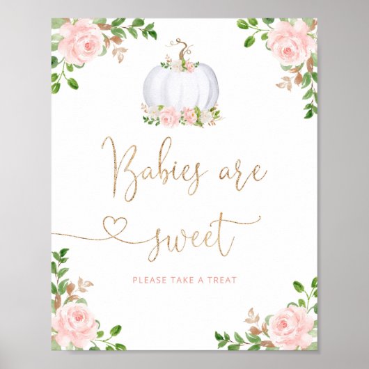 Blush roze roze pompoen. Babybaby's zijn zoet Poster (Voorkant)