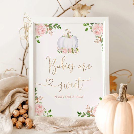Blush roze roze pompoen. Babybaby's zijn zoet Poster