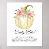 Blush roze roze roze pompoenstaafje Snoep staafje Poster (Voorkant)