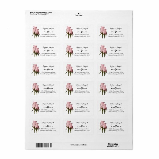 Blush roze rozen bruiloft label retouradres (Full Sheet)