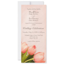 Blush roze tulptulptulptulptulptulptulptulptulptul