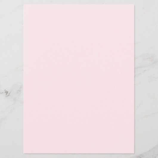 Blush roze Vrijgezellenfeest raad eens wie er spee Programmakaart (Achterkant)