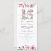 Blush Roze Zilver Mis Quince Quiñceanera (Voorkant)