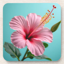 Blush van elegantie: Roze Hibiscus Radiance