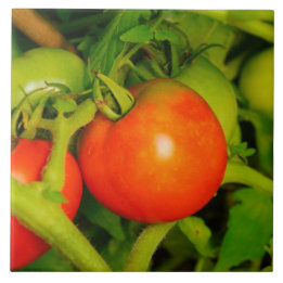 Blushing Beauties Kitchen Tile/Trivet Tegeltje