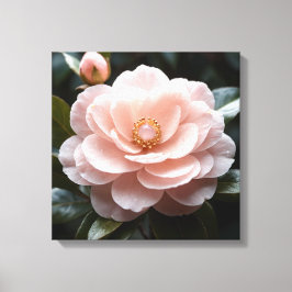 Blushing Camellia Adornment Canvas Afdruk