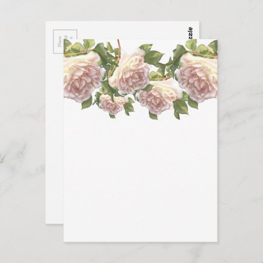 Blushing Ivory Peach Roos Briefkaart (Voorkant / Achterkant)