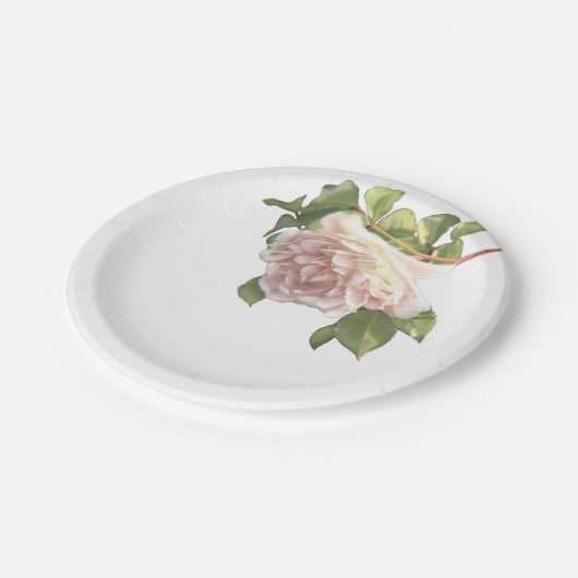 Blushing Ivory Peach Roos Papieren Bordje (Gekanteld)