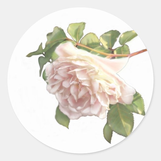 Blushing Ivory Peach Roos Ronde Sticker (Voorkant)