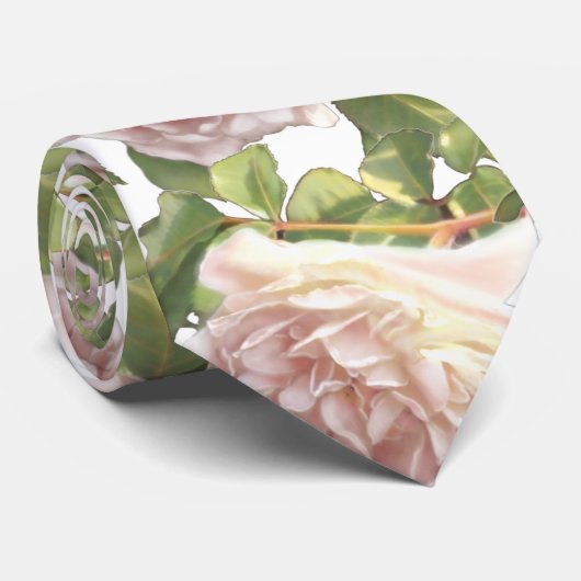 Blushing Ivory Peach Roos Stropdas (Opgerold)
