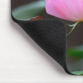 Blushing Knockout Roos Muismat (Hoek)