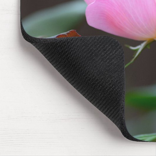 Blushing Knockout Roos Muismat (Hoek)