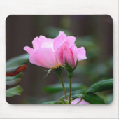 Blushing Knockout Roos Muismat (Voorkant)