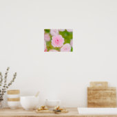 Blushing Petals Poster (Keuken)