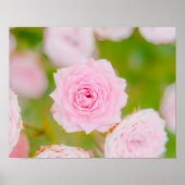 Blushing Petals Poster (Voorkant)