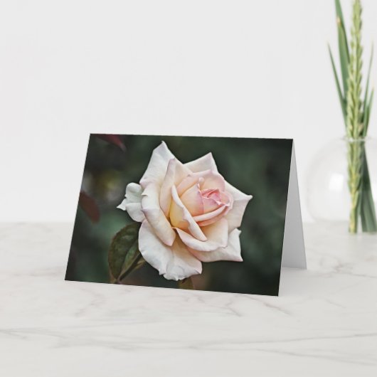 Blushing Roze Rose Art Kaart (Voorkant)
