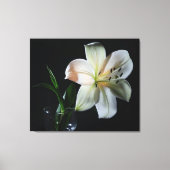 Blushing White Lily Wrapped Canvas Print (Voorkant)