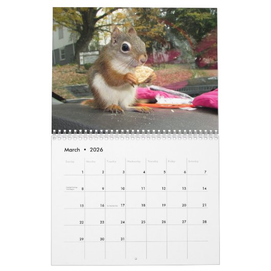 Bluster the Red Squirrel 2026 Calendar Kalender (Mar 2026)
