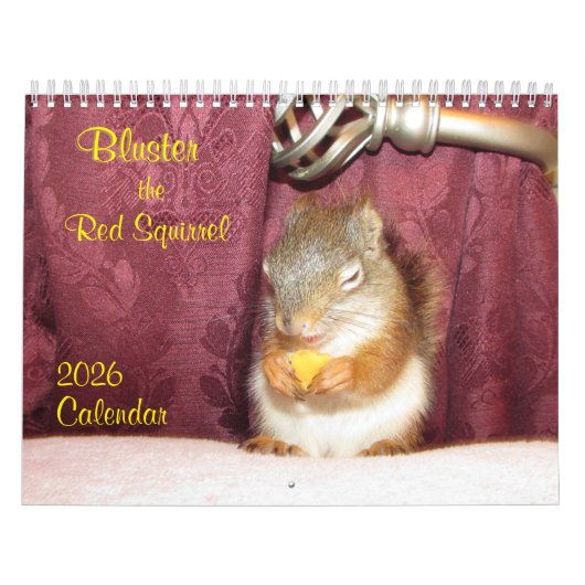 Bluster the Red Squirrel 2026 Calendar Kalender (Hoes)
