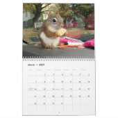 Bluster the Red Squirrel 2026 Calendar Kalender (Mar 2027)