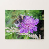 Blütenglück – Naturpuzzle mit Hummel auf Skabiose Legpuzzel (Horizontaal)