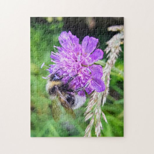 Blütenglück – Naturpuzzle mit Hummel auf Skabiose Legpuzzel (Verticaal)