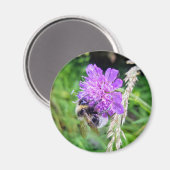 Blütenkraft – Runder Magnet mit Hummelmotiv (Voorkant / Achterkant)